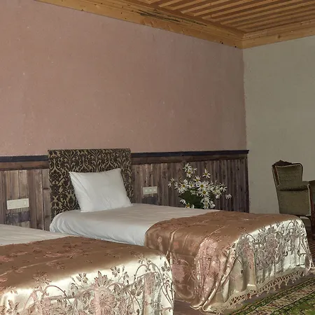 Otel Zifin 3*