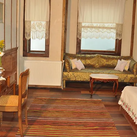 Otel Zifin 3*
